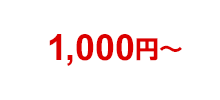 月額利用料は1,000円∼