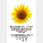 向日葵