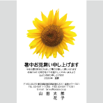 向日葵